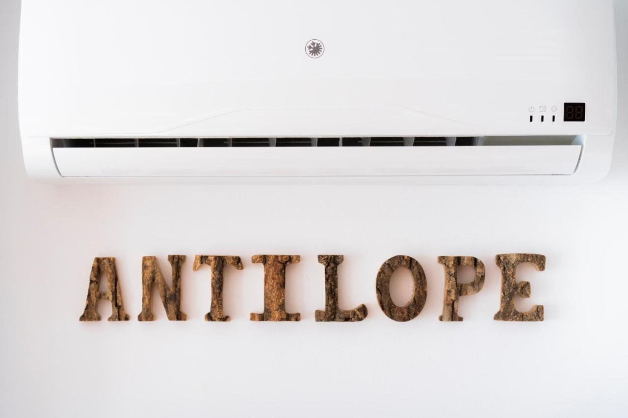 Antilope