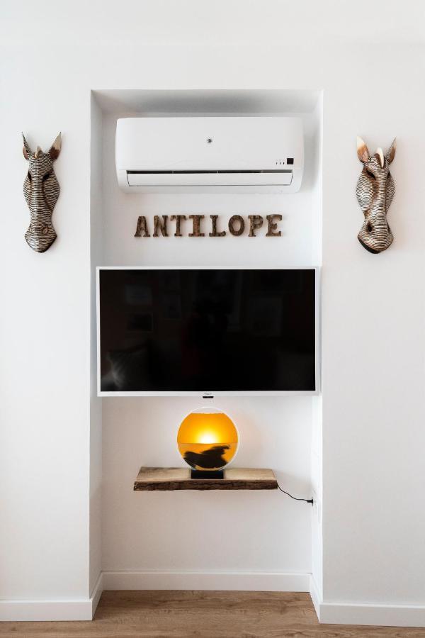 Apartment Antilope